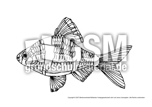 Fisch-1.pdf